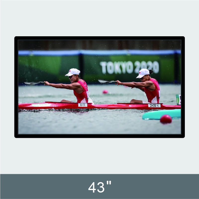 43” Wall Monunted Ad Display  D232 Series