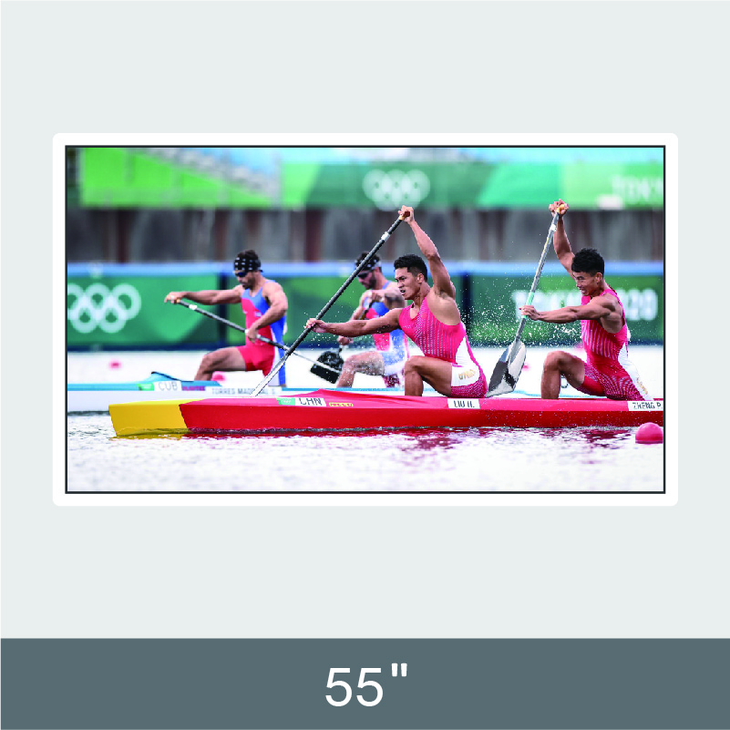 55” Wall Monunted Ad Display  D232 Series
