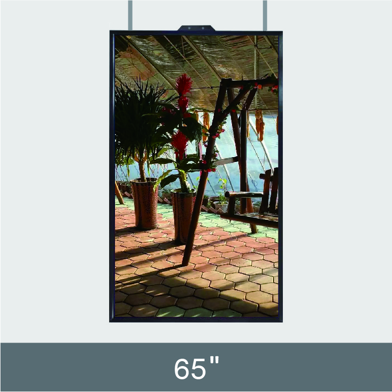 65” shop window  Ad Display  D236-1 Series